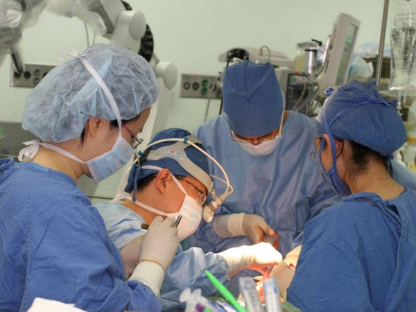 뇌혈관 수술의 세계적 권위자인 김정은 서울의대 학장이 뇌출혈 환자를 수술하고 있다.